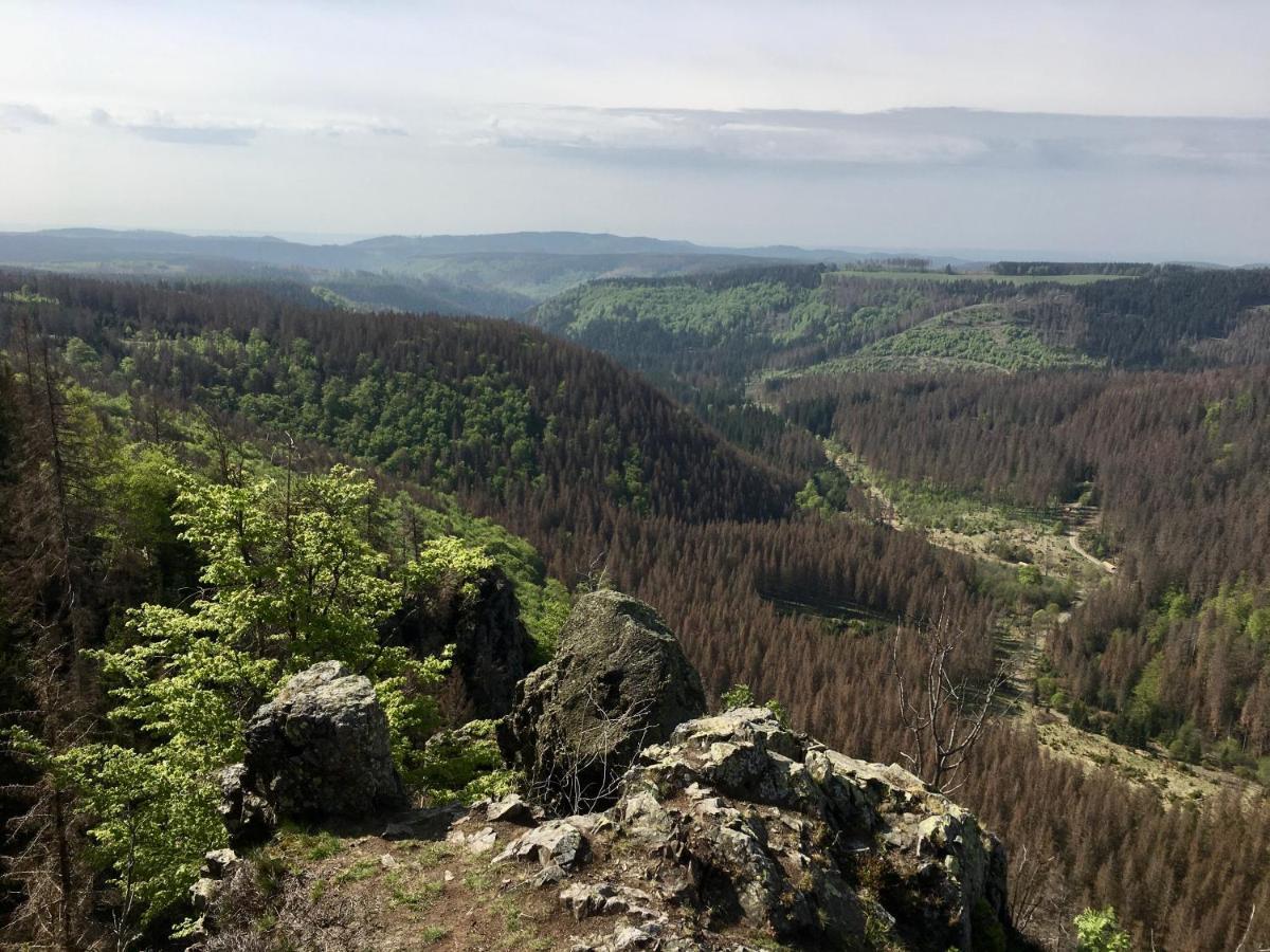 Bergwelt Braunlage Daire Dış mekan fotoğraf