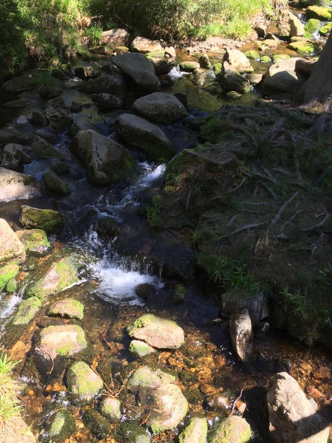 Bergwelt Braunlage Daire Dış mekan fotoğraf